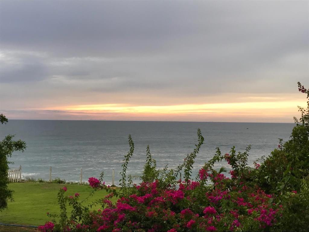 Peacock Beach Hotel Хамбантота Екстериор снимка